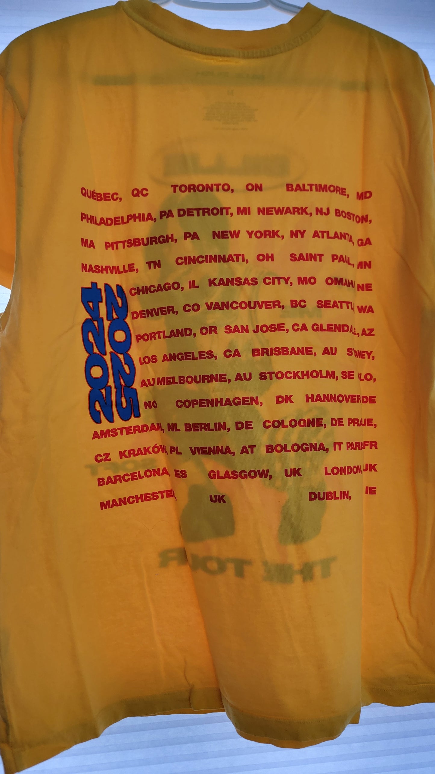 Billie Eilish Shirt (Hit Me Hard & Soft Tour 2024)